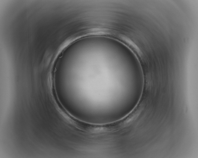 X0000112081467200908041244