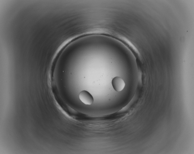X0000112081468200908041244
