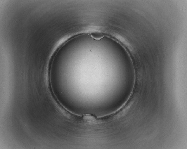 X0000112081469200908041244