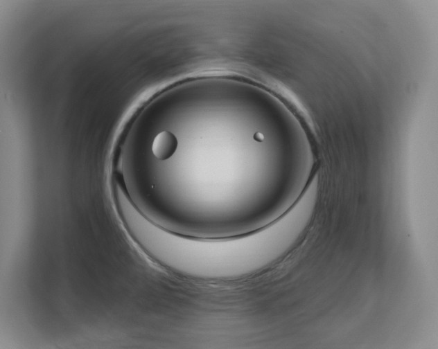 X0000112081472200908041244