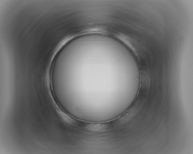 X0000112081474200908041244