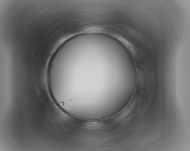 X0000112081478200908041244
