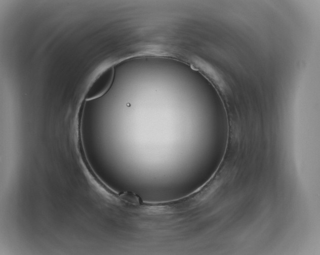 X0000112081479200908041244