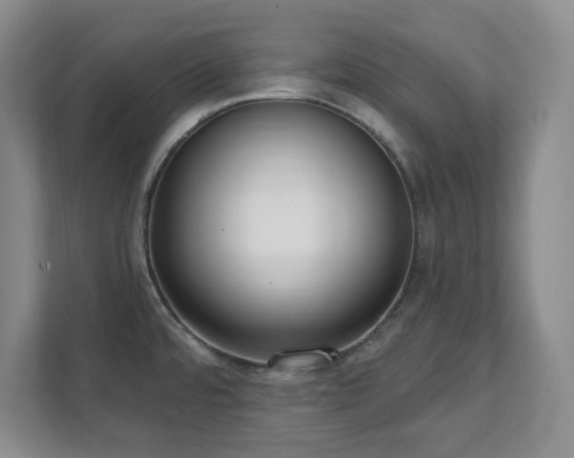 X0000112081480200908041244