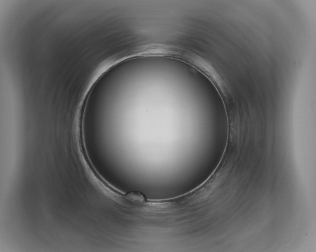 X0000112081483200908041244