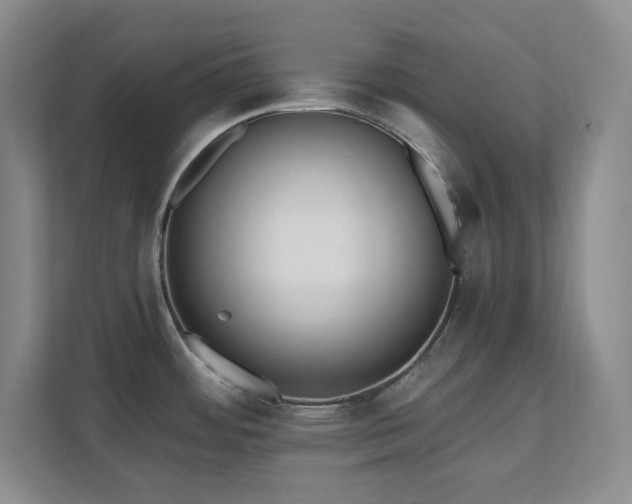 X0000112081484200908041244