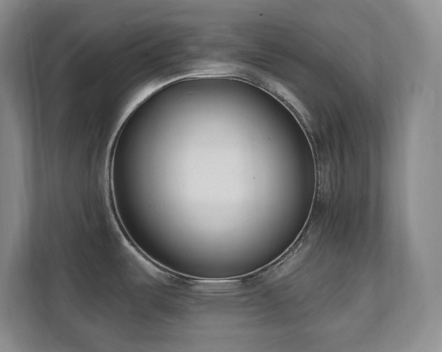 X0000112081487200908041244