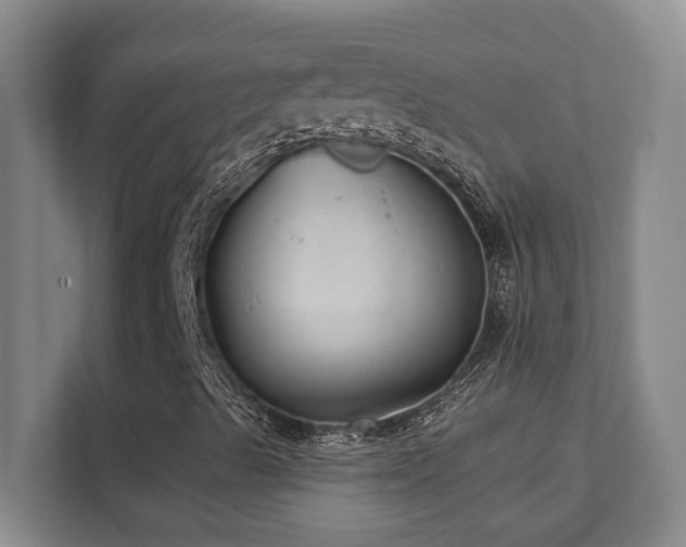 X0000112081489200908041243