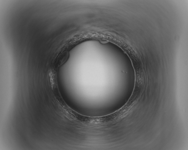X0000112081490200908041243