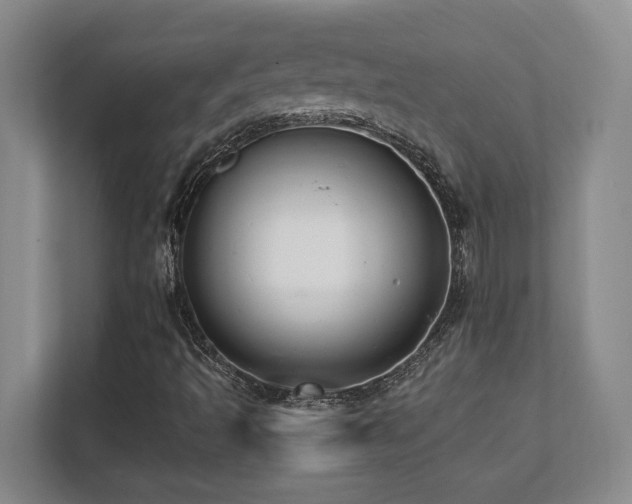 X0000112081493200908041243