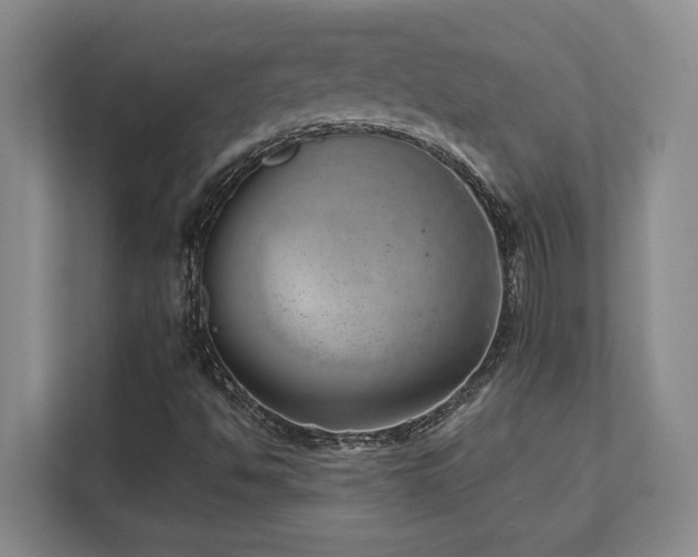 X0000112081494200908041243