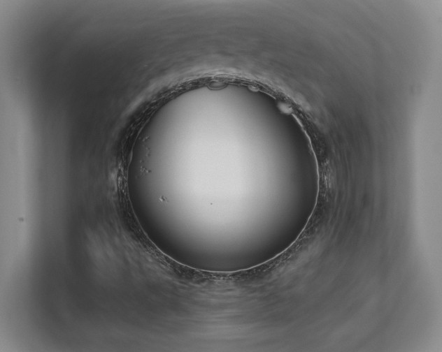 X0000112081495200908041243
