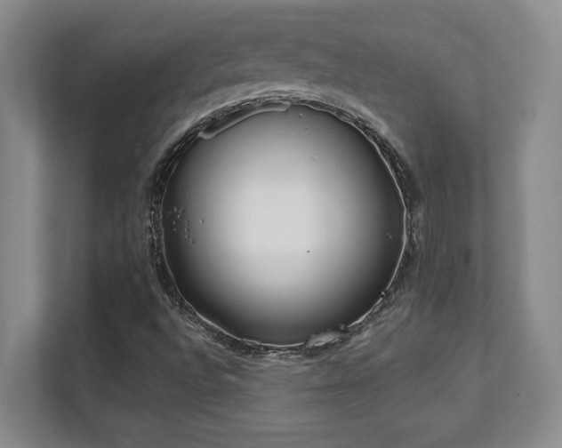 X0000112081496200908041243