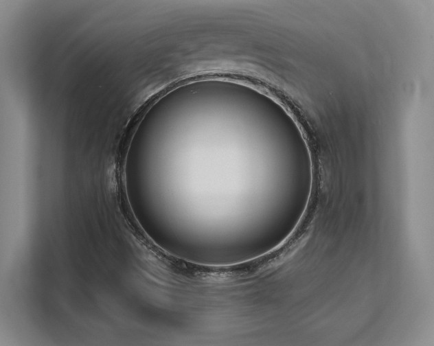 X0000112081497200908041243