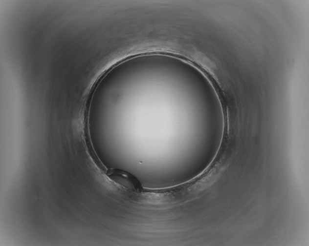 X0000112081500200908041243
