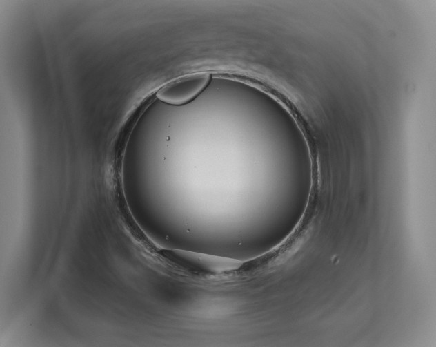 X0000112081501200908041243