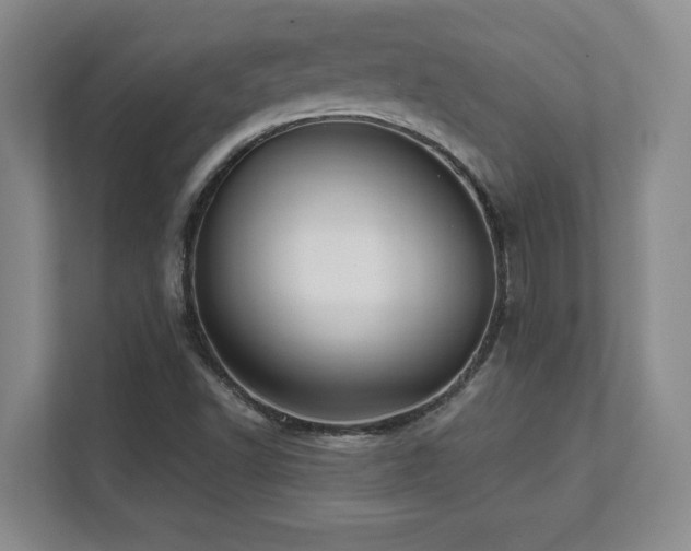 X0000112081502200908041243