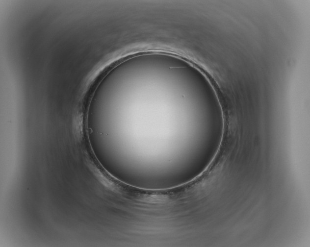 X0000112081503200908041243