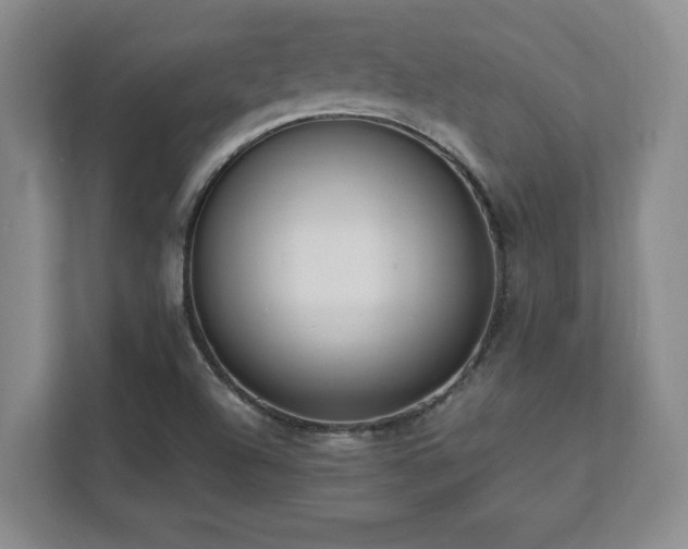 X0000112081504200908041243