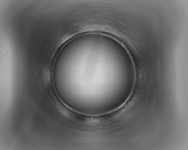 X0000112081505200908041243