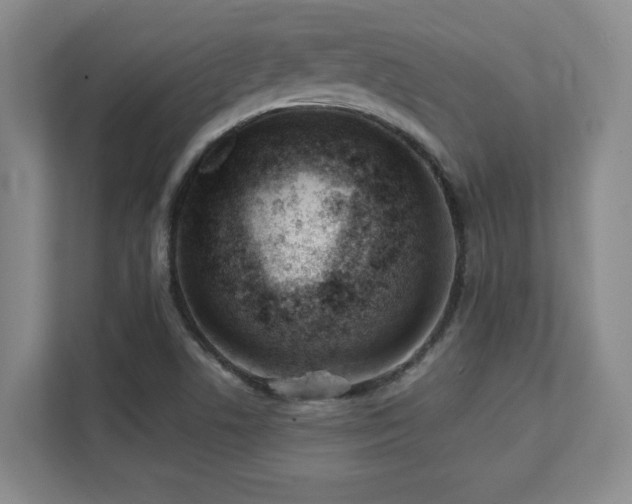 X0000112081506200908041243