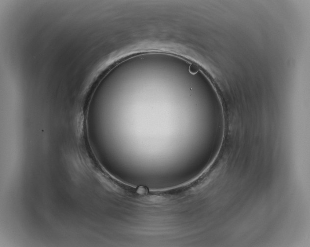 X0000112081507200908041243