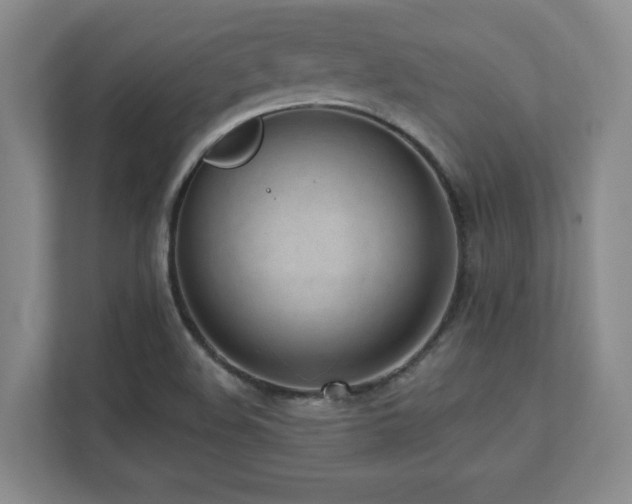 X0000112081508200908041243