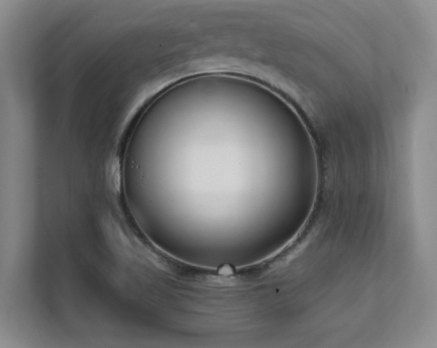 X0000112081509200908041243