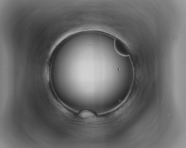 X0000112081510200908041243