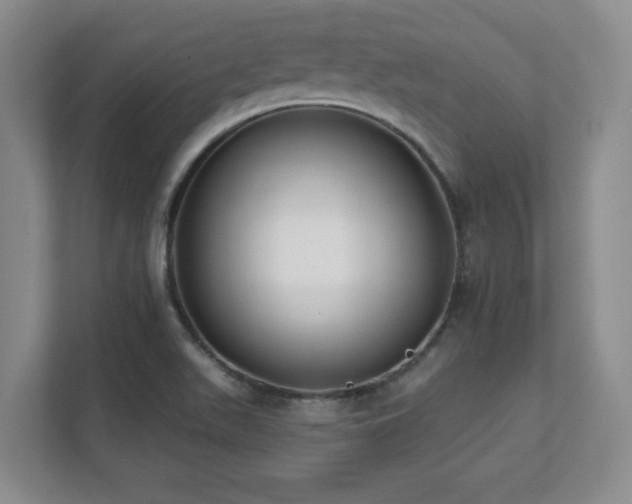 X0000112081511200908041243