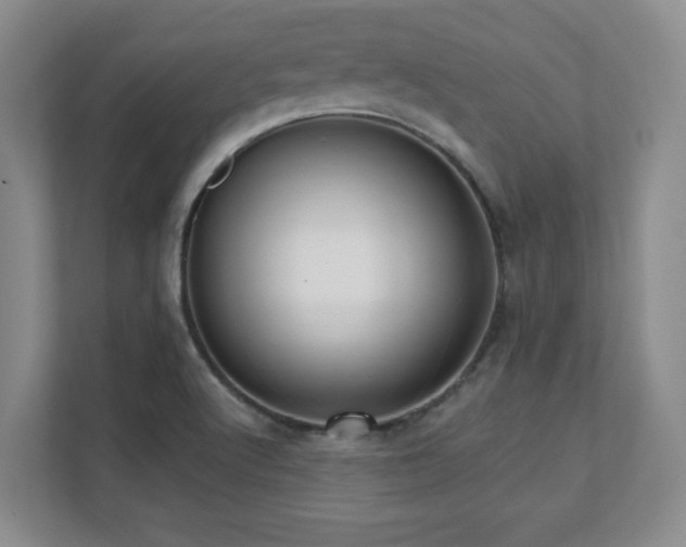 X0000112081512200908041243
