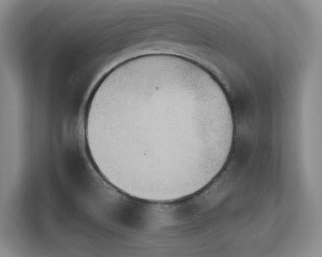 X0000112081514200908041243