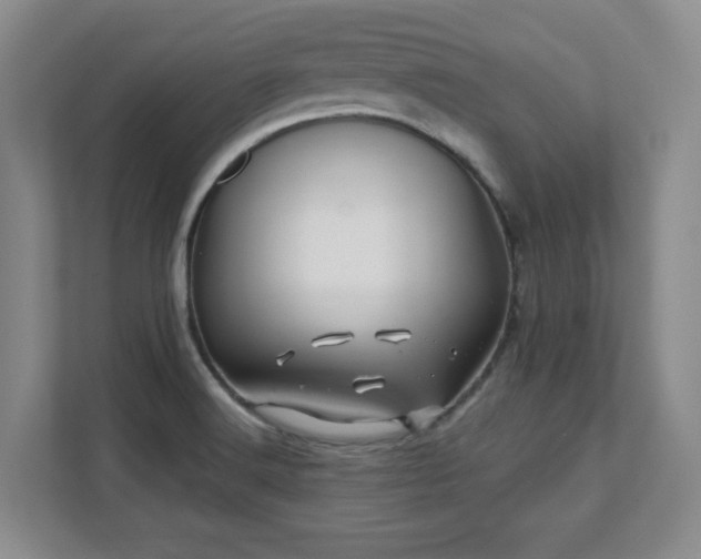 X0000112081516200908041244