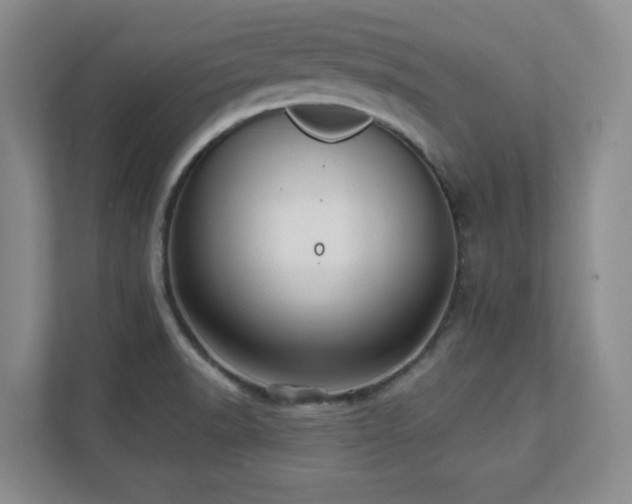 X0000112081518200908041244