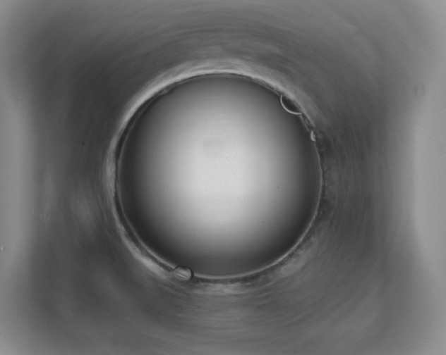 X0000112081519200908041244