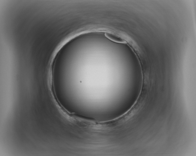 X0000112081520200908041244