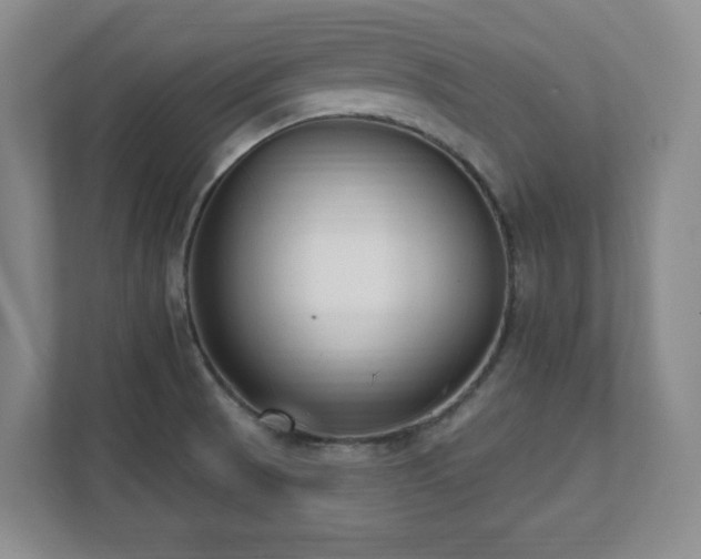X0000112081521200908041244