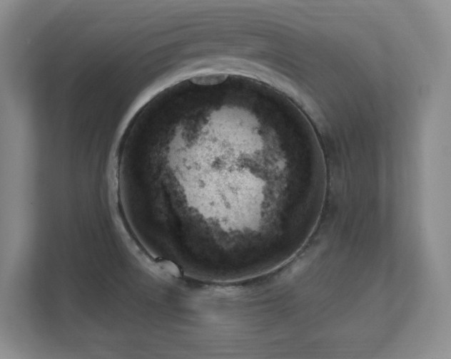 X0000112081522200908041244
