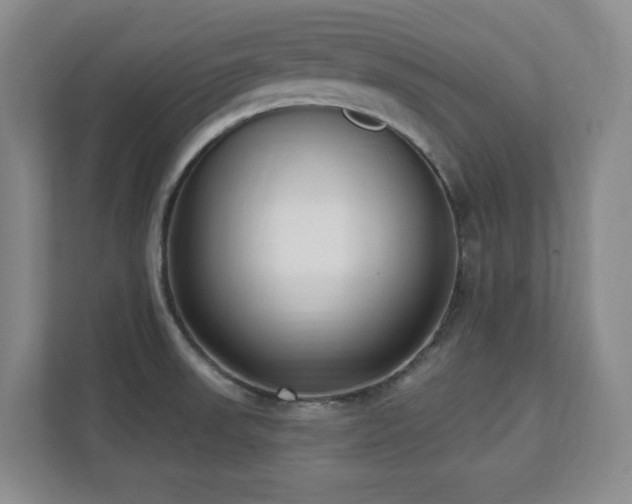 X0000112081523200908041244