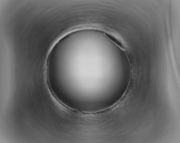 X0000112081524200908041244
