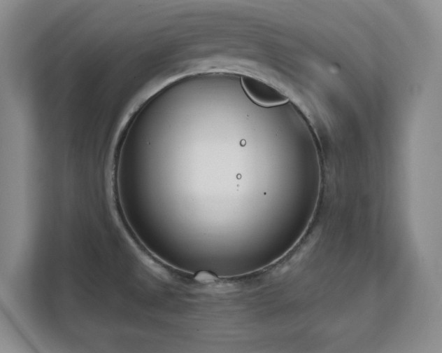X0000112081525200908041244
