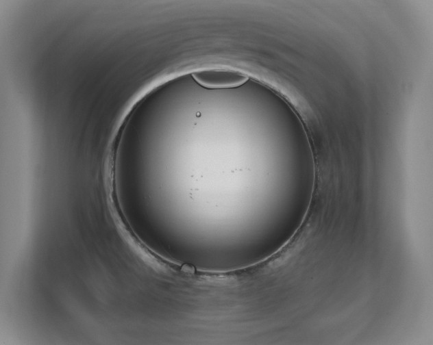 X0000112081526200908041244