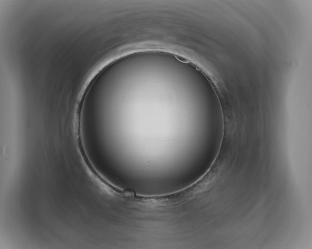 X0000112081527200908041244
