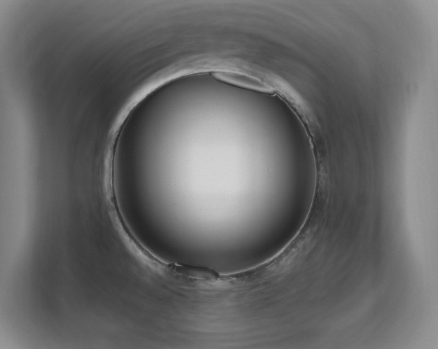 X0000112081528200908041244