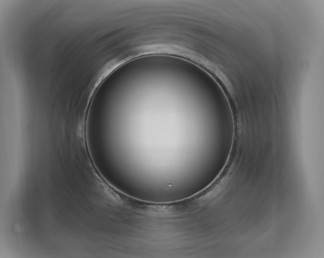 X0000112081529200908041244
