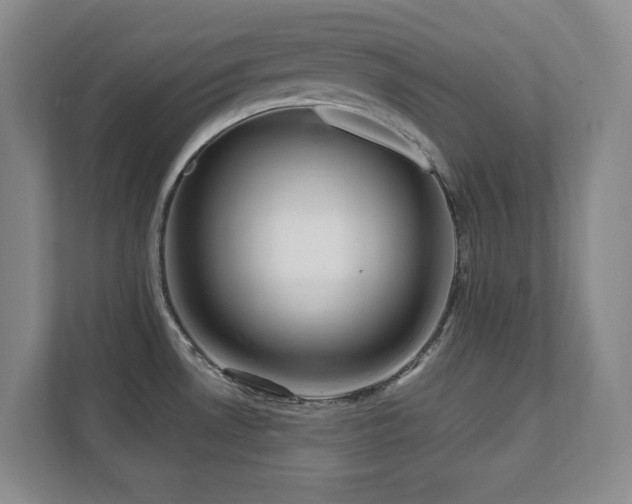 X0000112081530200908041244