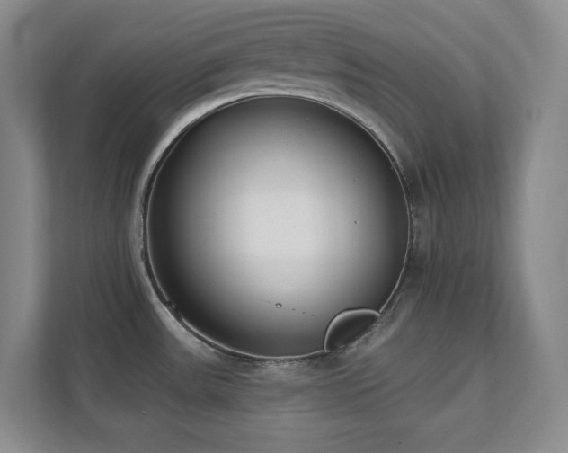 X0000112081531200908041244
