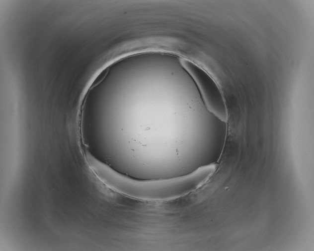 X0000112081532200908041244