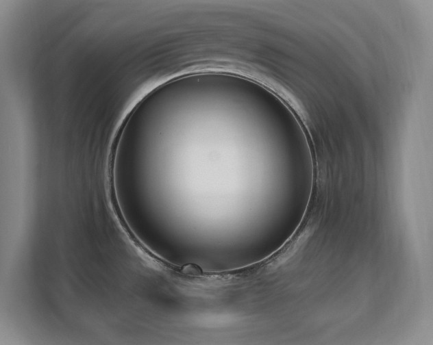 X0000112081533200908041244