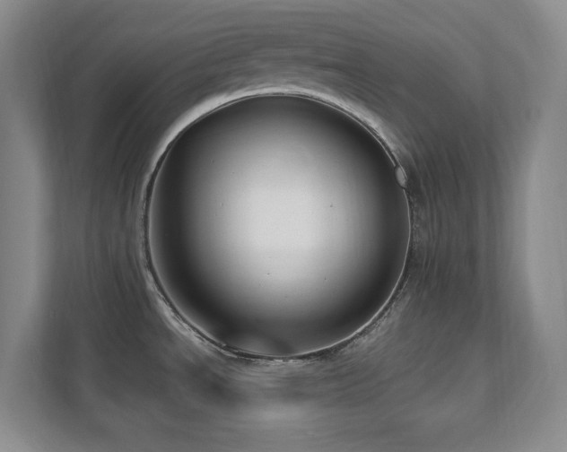X0000112081534200908041244
